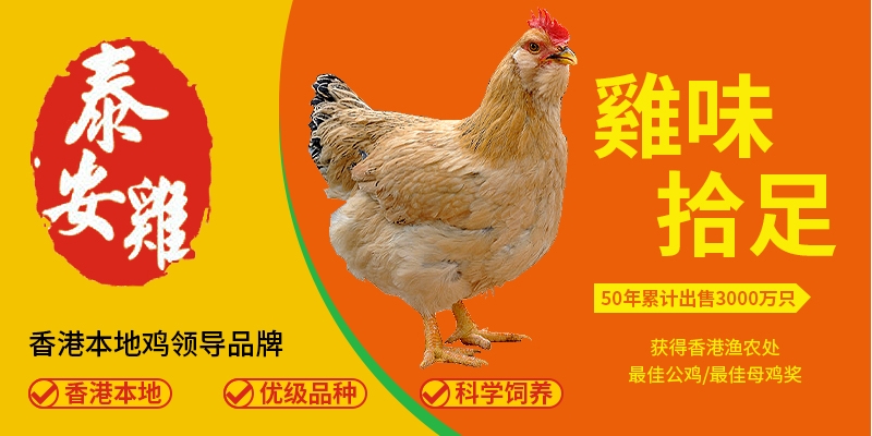 肉禽食品品牌營銷策劃案例
