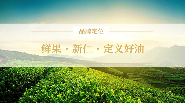 初典核桃油營銷策劃案例,初典核桃油營銷策劃,核桃油營銷策劃