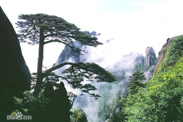 黃山毛峰茶品牌營銷戰略