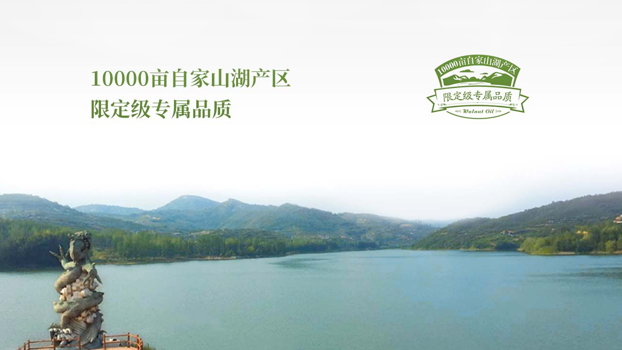 初典核桃油營銷策劃案例