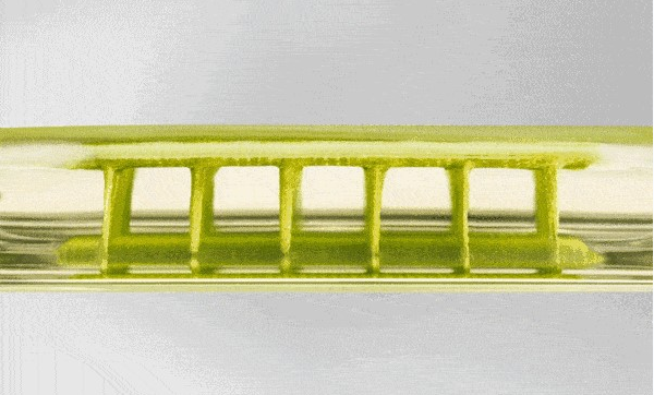 運動品牌營銷策劃案例