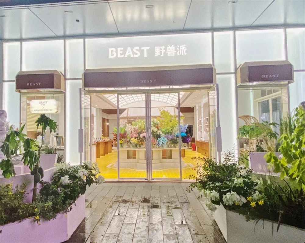 野獸派營銷策劃案例分析