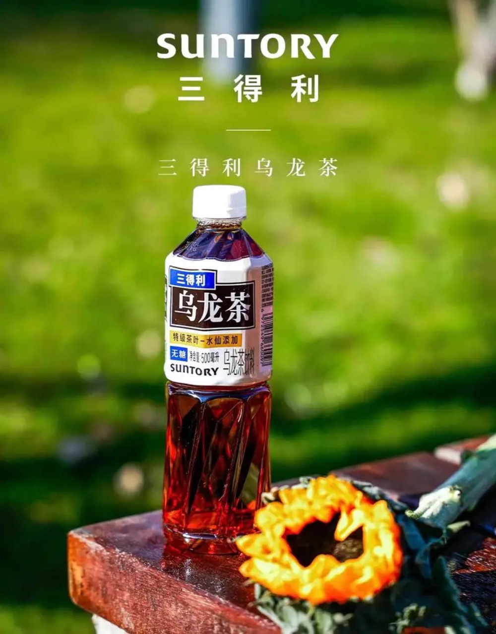 三得利烏龍茶品牌策劃案